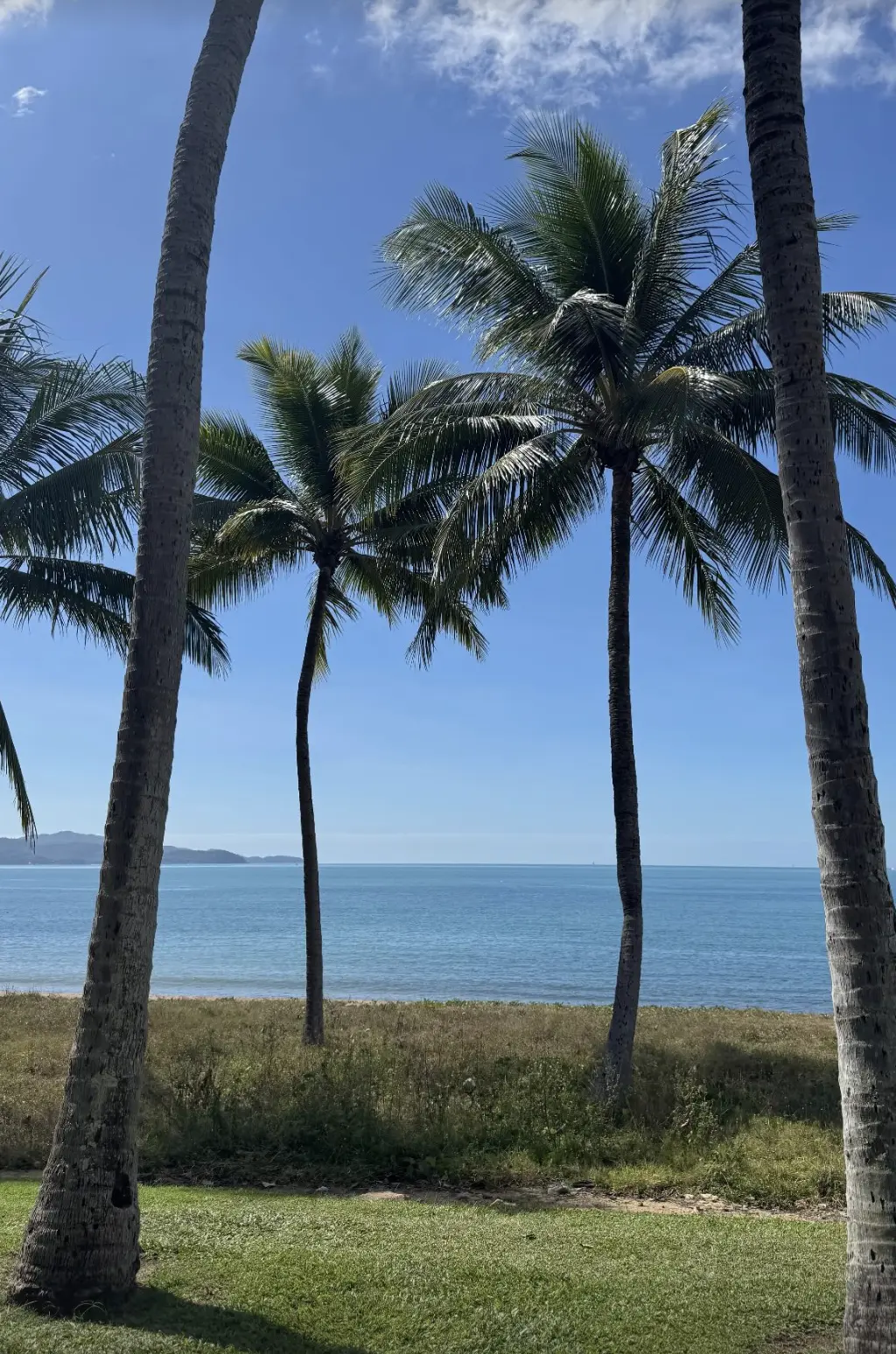 Townsville local experiences and culture